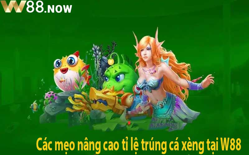 Các mẹo nâng cao tỉ lệ trúng cá xèng tại W88