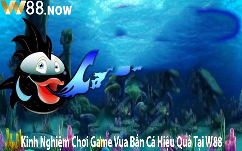 Kinh Nghiệm Chơi Game Vua Bắn Cá Hiệu Quả Tại W88