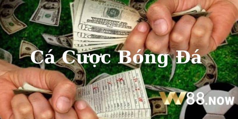 Cá Cược Bóng Đá W88 - Bật Mí 04 Mẹo Soi Kèo Đỉnh Cao