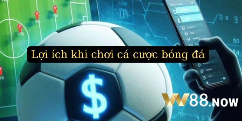 Chơi cá cược nhận nhiều lợi ích