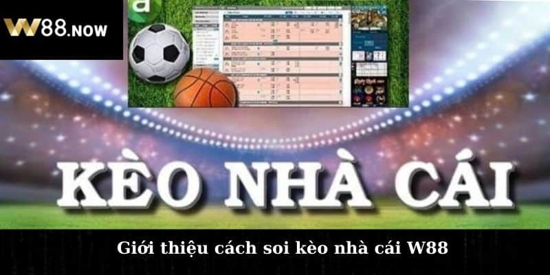 Giới thiệu cách soi kèo nhà cái W88