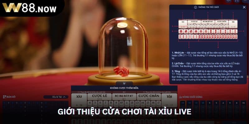 Giới thiệu cửa chơi tài xỉu live