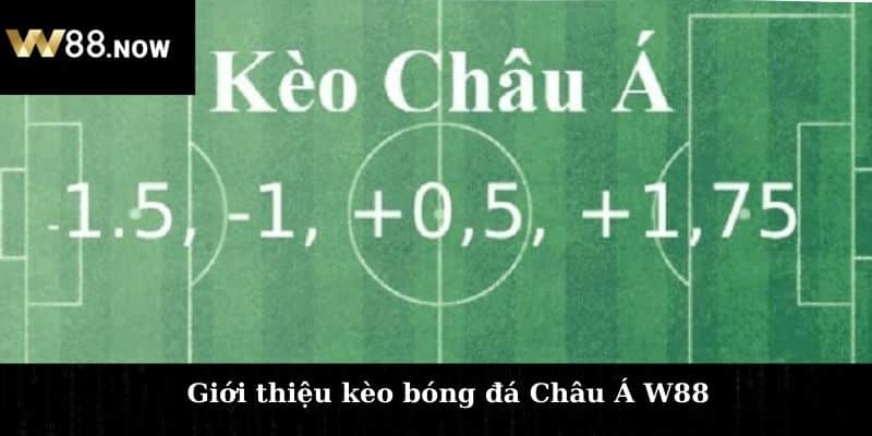 Giới thiệu kèo bóng đá Châu Á W88