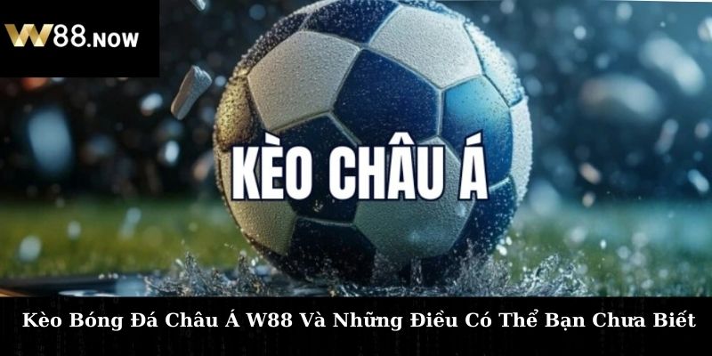 Kèo Bóng Đá Châu Á W88 Và Những Điều Có Thể Bạn Chưa Biết