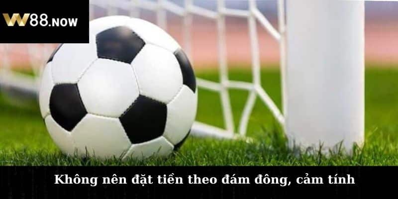 Không nên đặt tiền theo đám đông, cảm tính