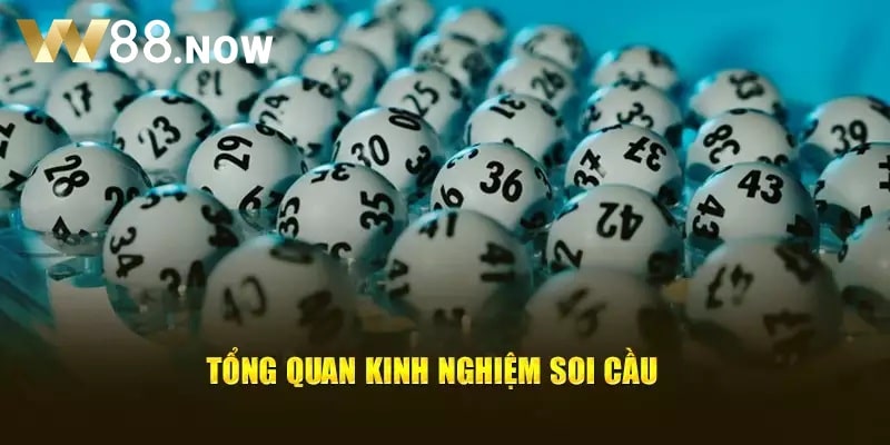 Kinh Nghiệm Soi Cầu W88 Tổng Hợp Từ Hội Dân Chuyên Lô Đề