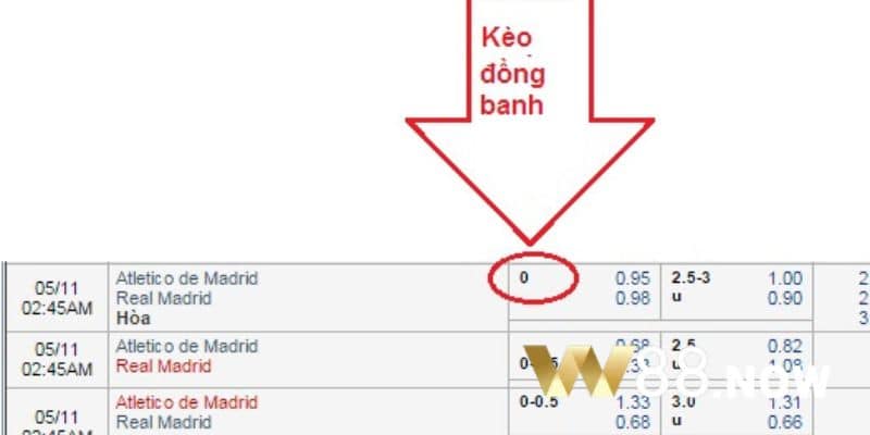 Một số tỷ lệ cược phổ biến nhất W88