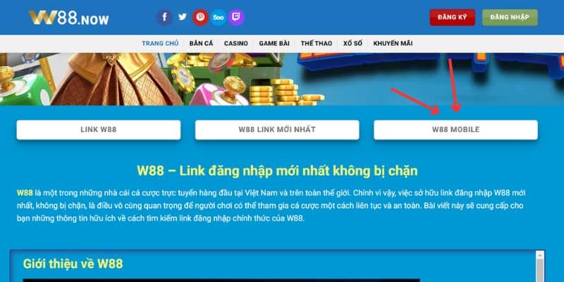 Sơ lược về phiên bản W88 mobile